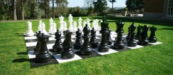  Giant Chess