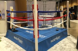 Mini Boxing Ring Rental